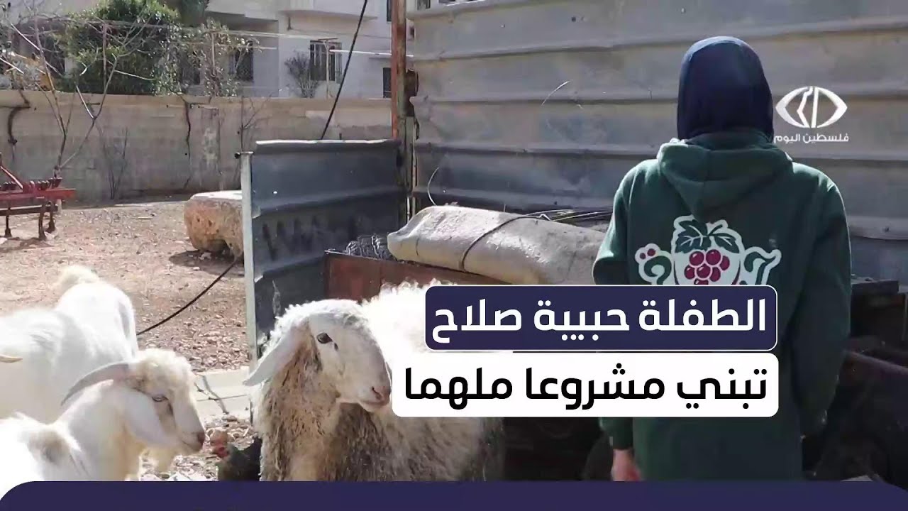 الطفلة حبيبة صلاح تبني مشروعا ملهما