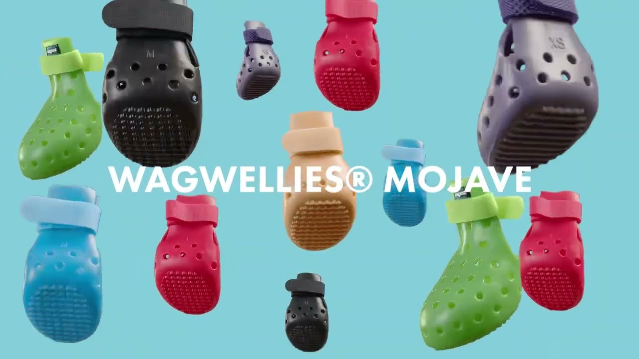 The best dog shoe for summer!☀️