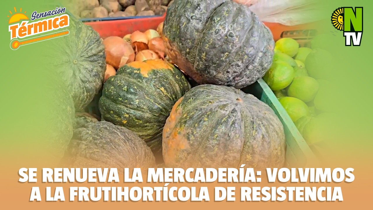 🥬 Precios del mercado: qué verduras aumentaron y qué sigue buscando la gente