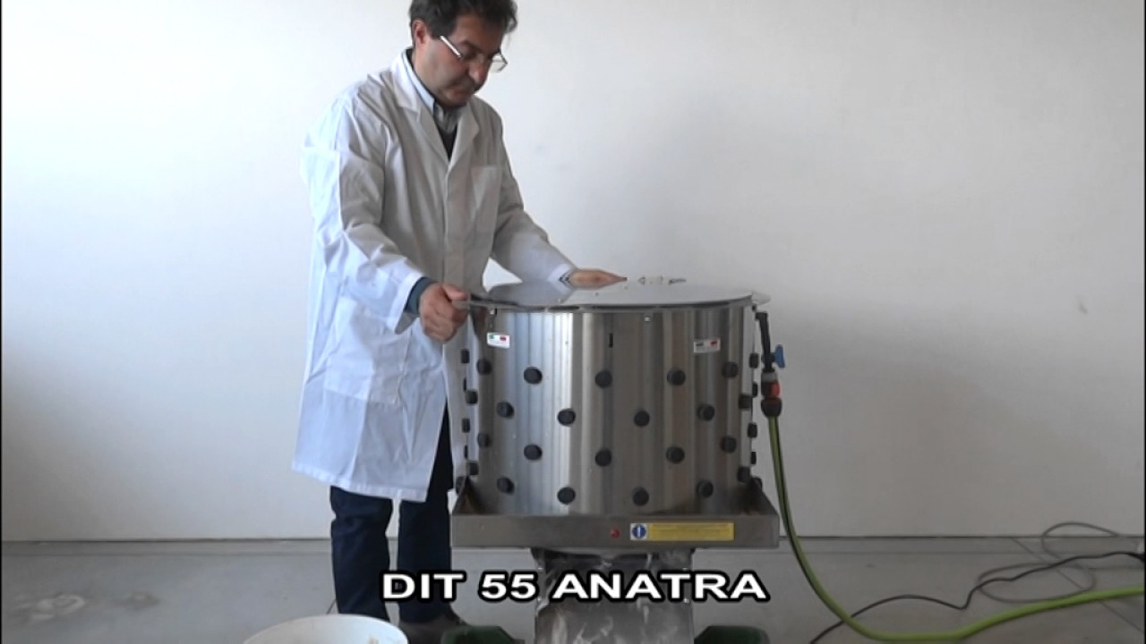 Spiumatrice  DIT 55 | anatra
