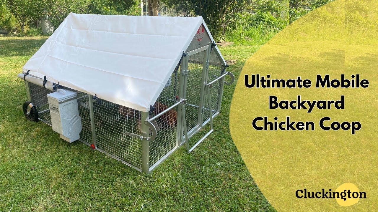 The Ultimate Mobile Rodent Free Backyard Chicken Coop