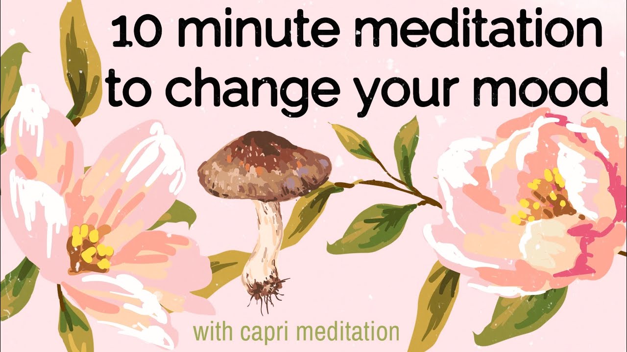 10 Minute Meditation You Can Do Anywhere To Help Change Your Mood✨🌿