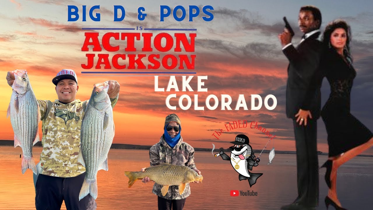 Wiper Fishing Colorado and Carp Catch and Cook! Part One..
