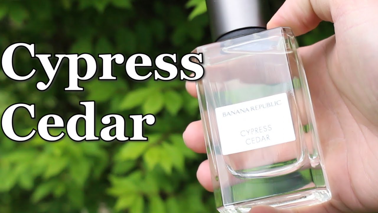 NEW BANANA REPUBLIC CYPRESS CEDAR | VINTAGE GREEN | ICON COLLECTION