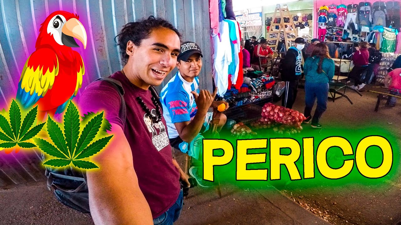 DOMINGUEANDO EN LAS FERIAS DE PERICO