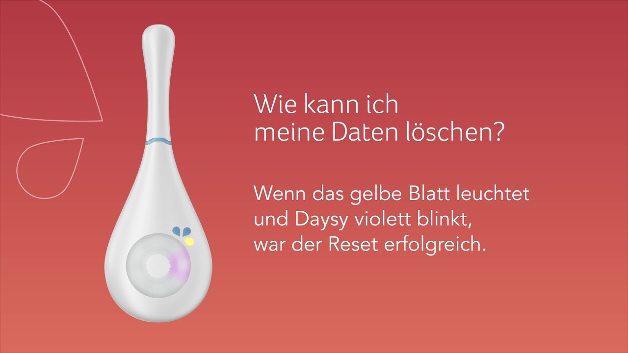 Wie kann ich meine Daten auf Daysy 2.0 löschen?