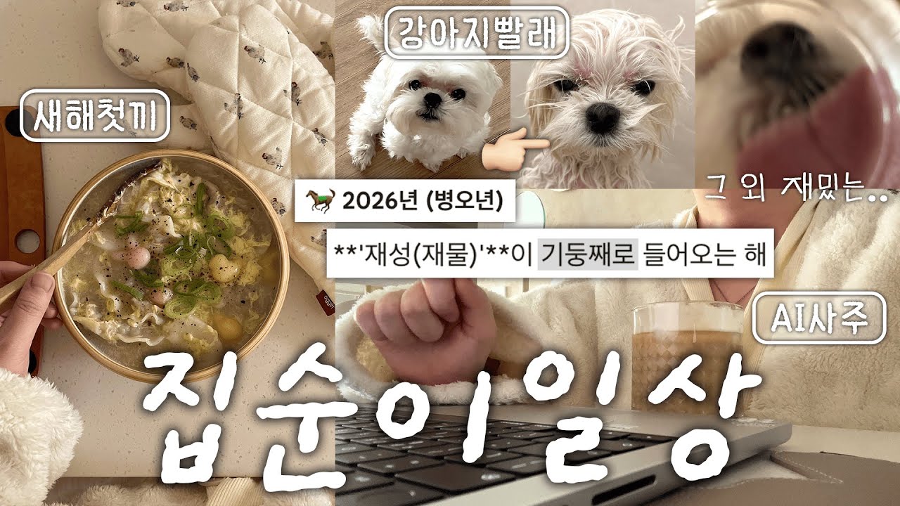 저 올해 대박나는 사주래요..🔮집순이의 현실 새해첫날 브이로그
