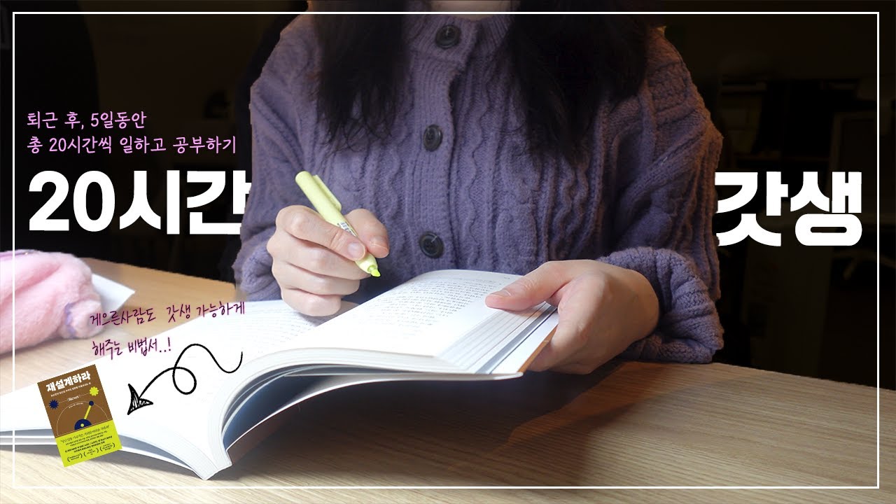 월 540 대기업 직장인 브이로그 | 야근해도 꼭 20시간씩 공부하는 이유 | 새해 맞이 갓생 챌린지 (feat. 재설계하라)