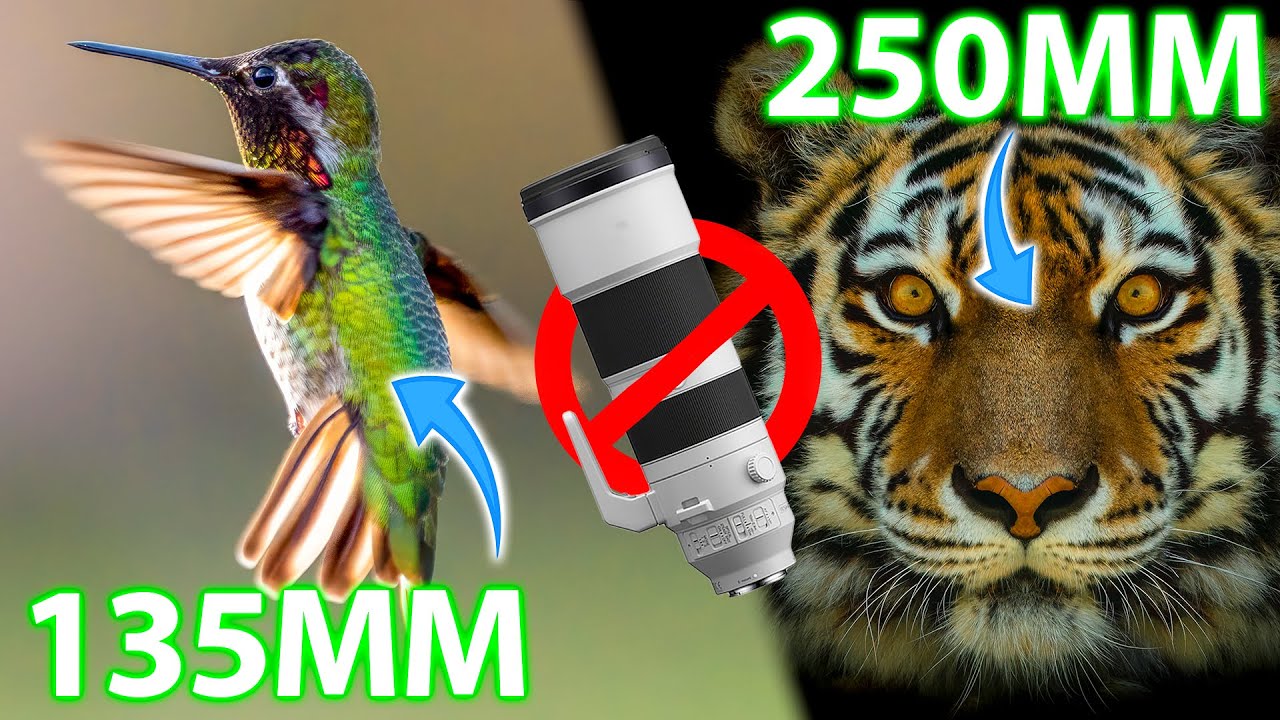 Вам НЕ нужен объектив 600 мм!!! Просто сделайте ЭТО..