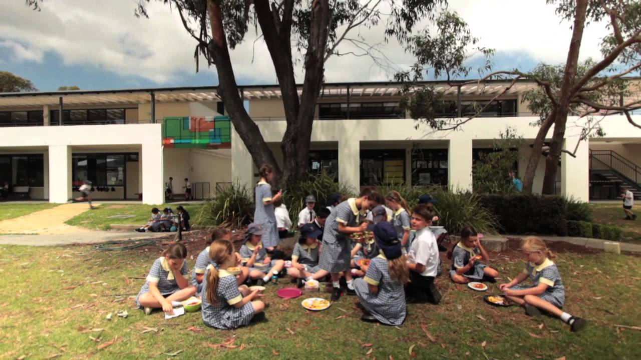 John Colet School Full Version Film
