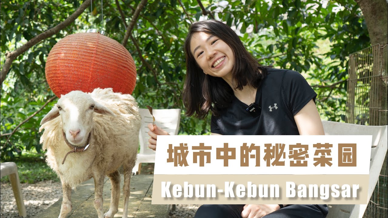 🇲🇾【 零垃圾 | ZERO WASTE 】城市中的秘密菜园 Kebun-Kebun Bangsar