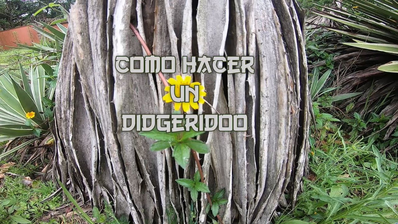 Como hacer un didgeridoo