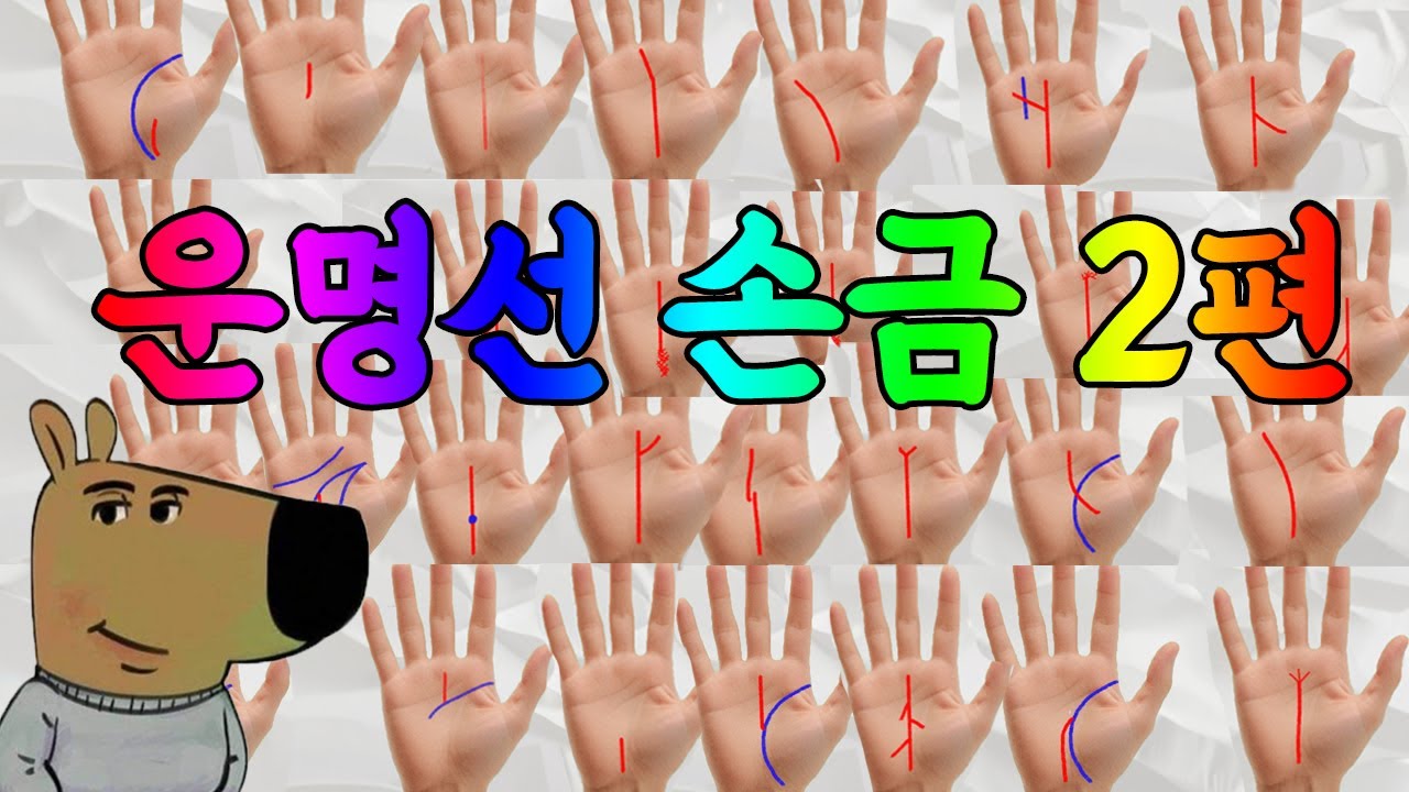 나의 성공할까? 운명선 손금 종류별 2편