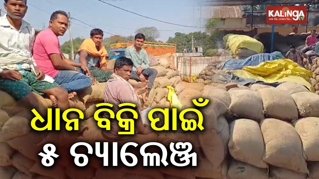Odisha Faces 5 Key Challenges in Paddy Procurement, Impacting Farmers | Kalinga TV