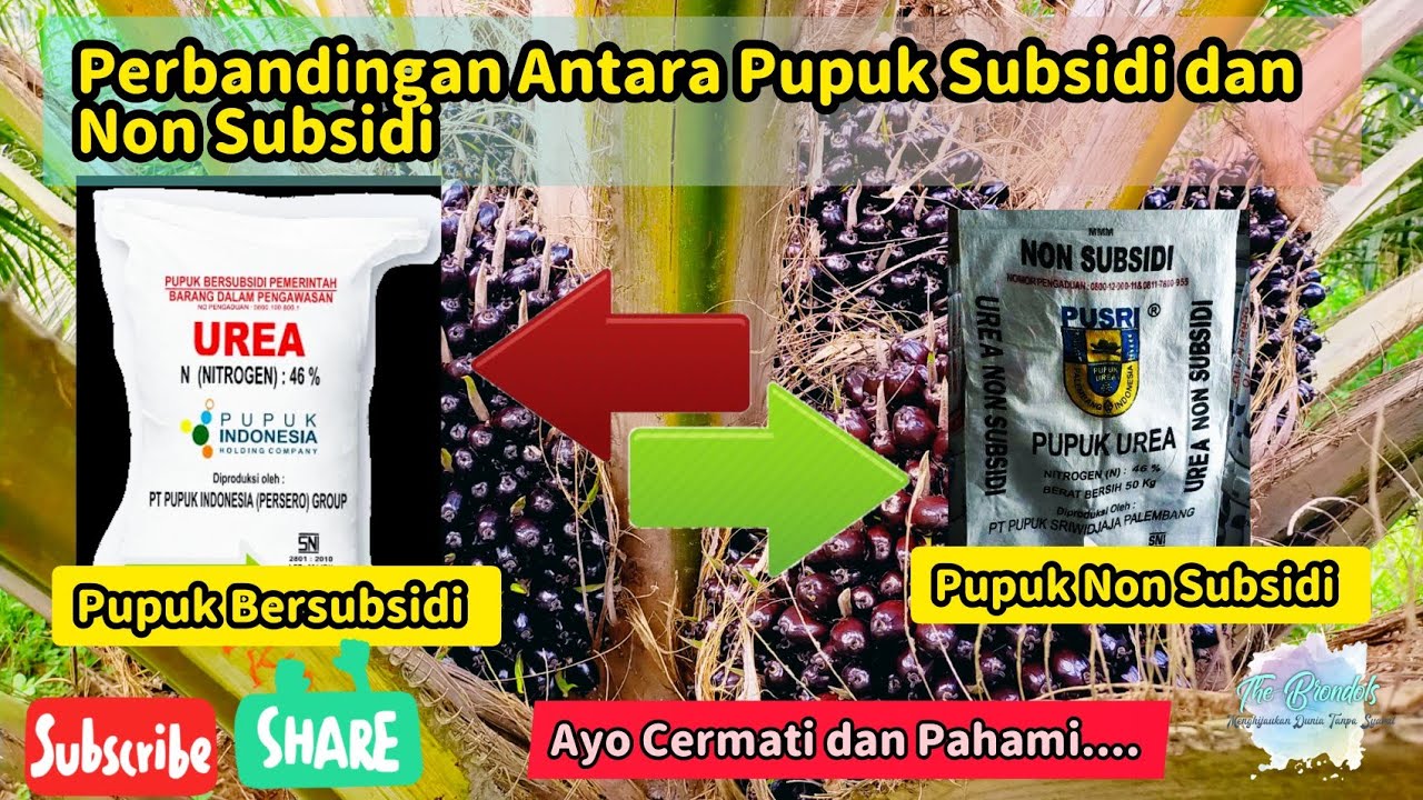 Perbandingan Pupuk Bersubsidi dan Non Subsidi