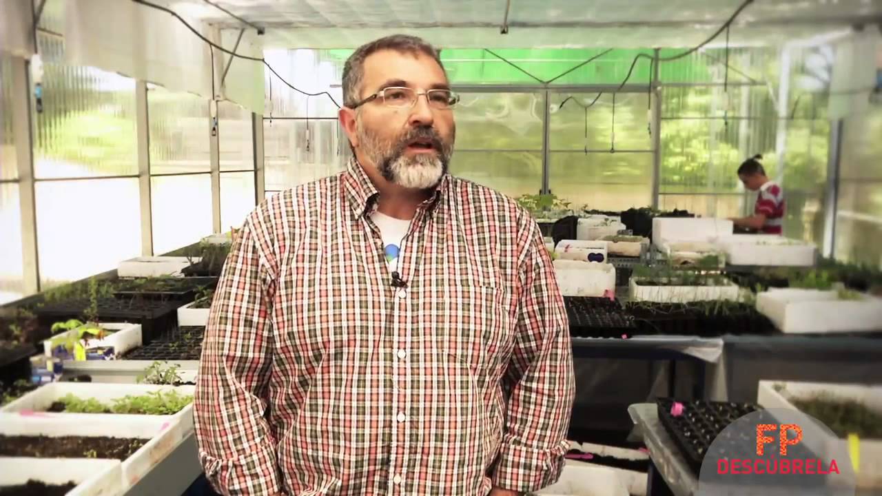 Técnico Superior en Gestión Forestal y del Medio Natural