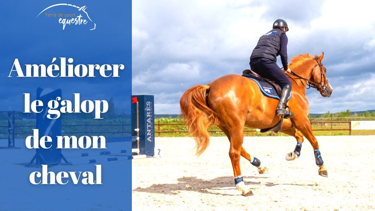 Améliorer le galop de son cheval
