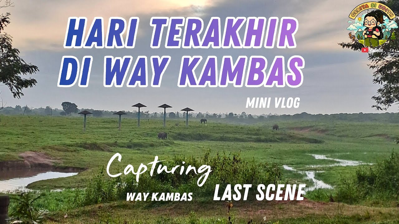 [TRIP] WAY KAMBAS | Ketemu gajah Karmila di Hari Terakhir Trip Way Kambas