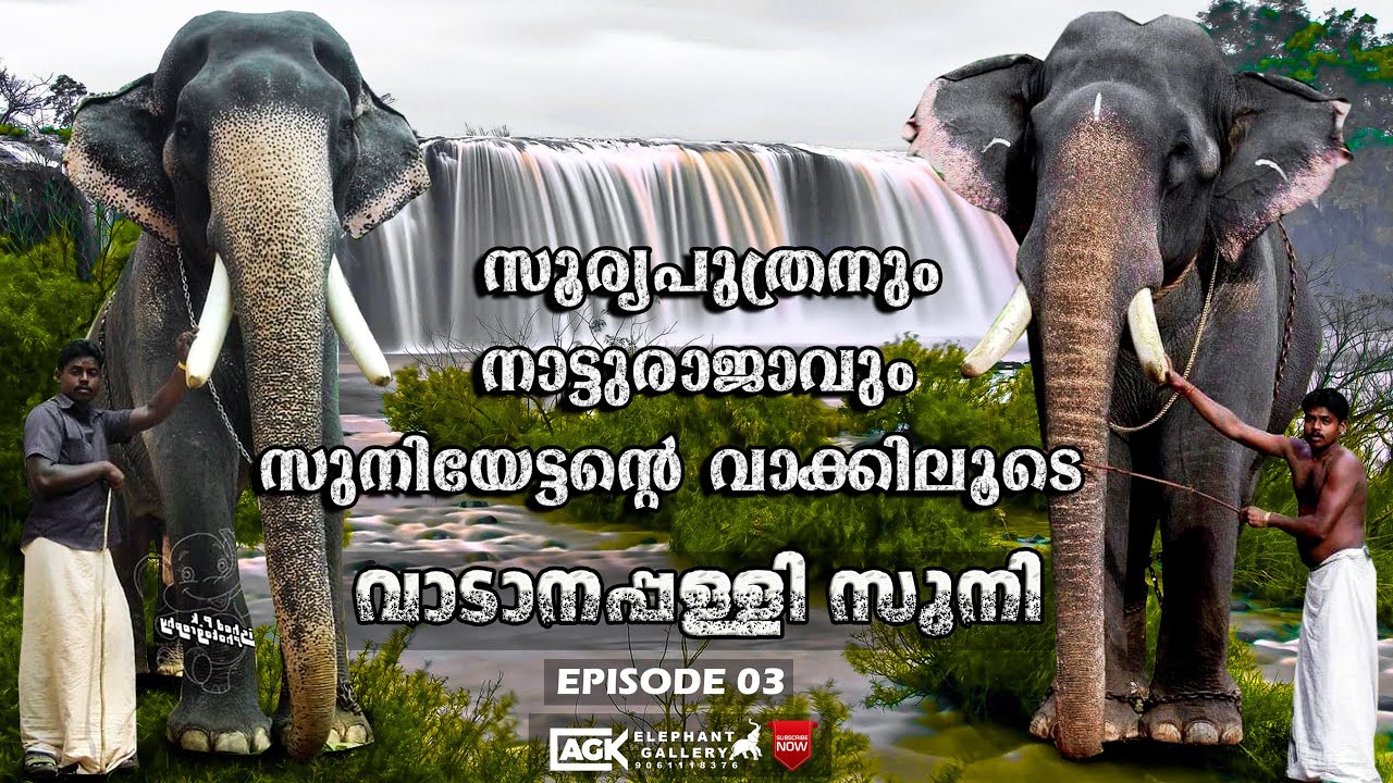 സൂര്യപുത്രനും  നാട്ടുരാജാവും സുനിയേട്ടന്റെ വാക്കിലൂടെ Iവാടാനപ്പള്ളി സുനി I EPISODE 03