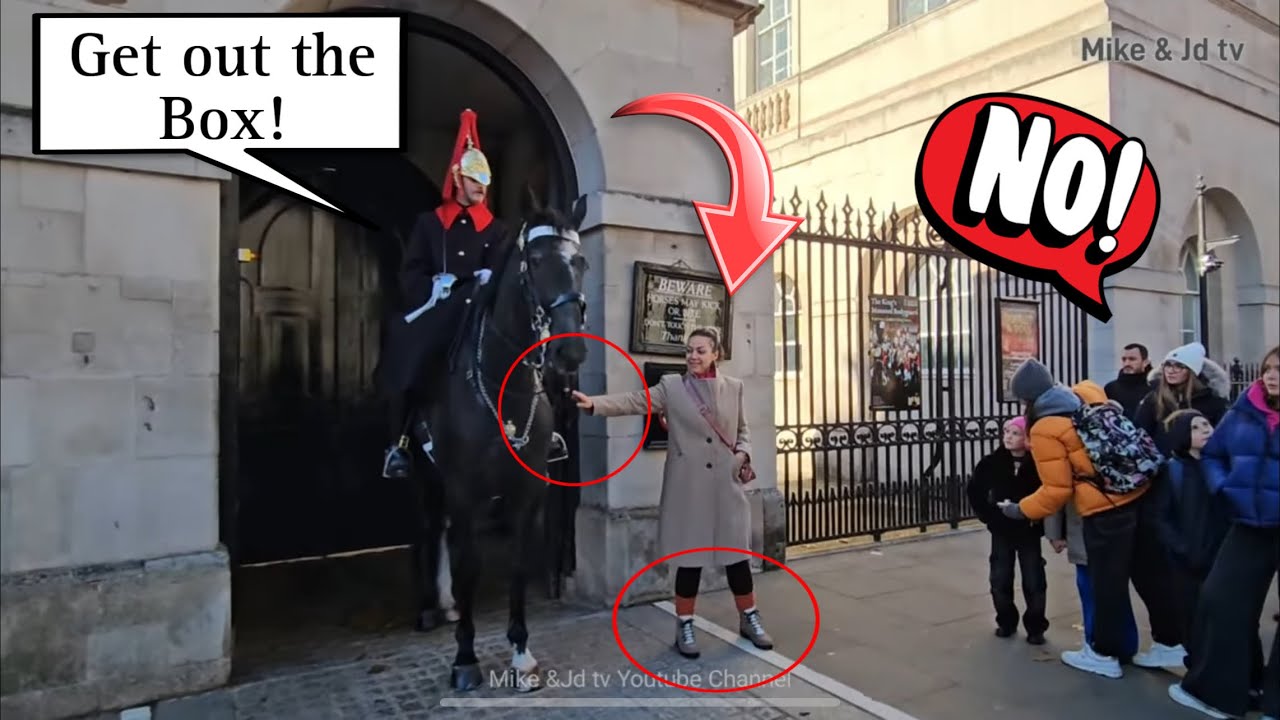 BRILLIANT GUARD DOES NOT TOLERATE THIS KIND OF DISRESPECTFUL BEHAVIOUR! “OUT OF THE BOX