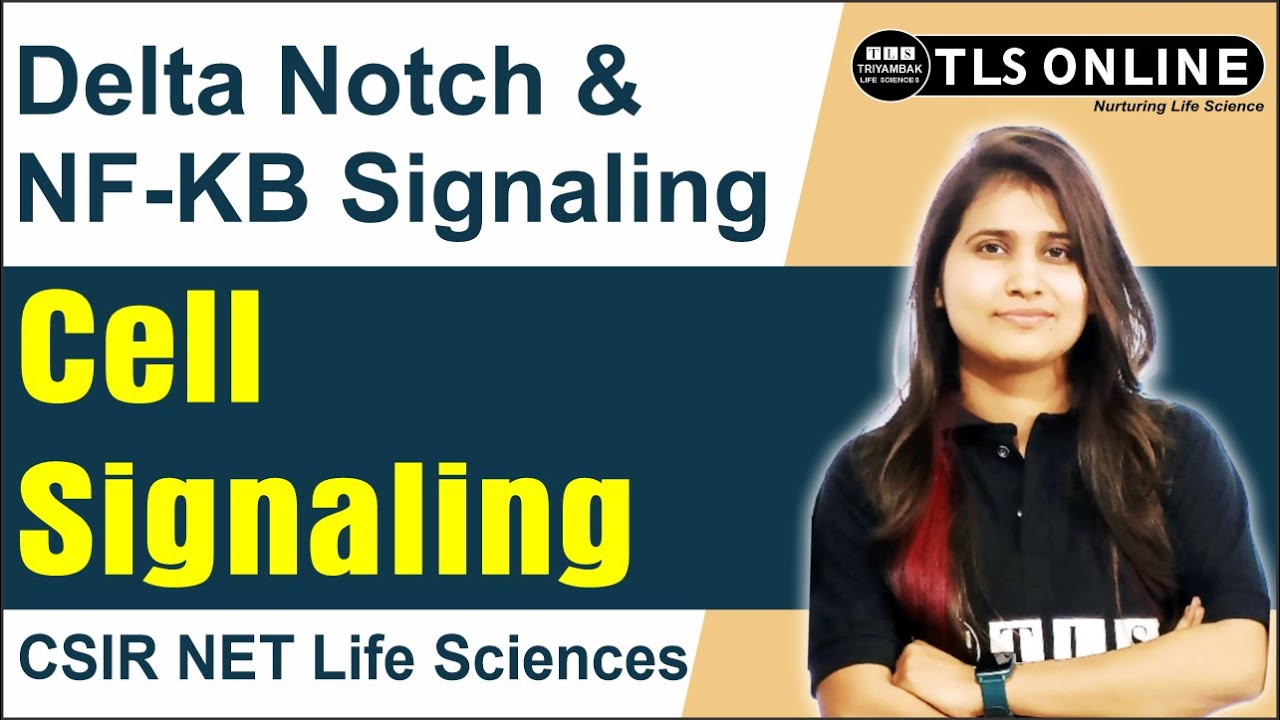 Delta Notch & NF-KB Signaling | Cell Signaling | CSIR NET Life Sciences| Unit-4 |