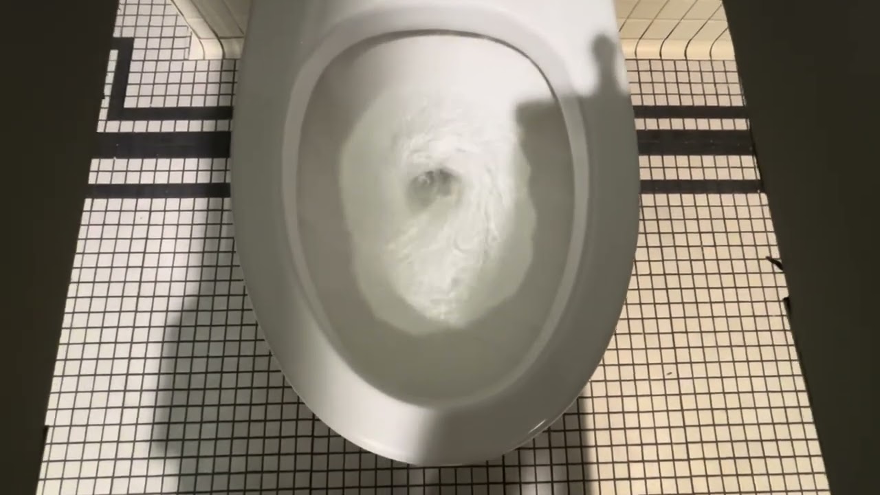 🥳🎉Birthday Special New Orleans Art Museum Short Restroom Spree🎂🎉