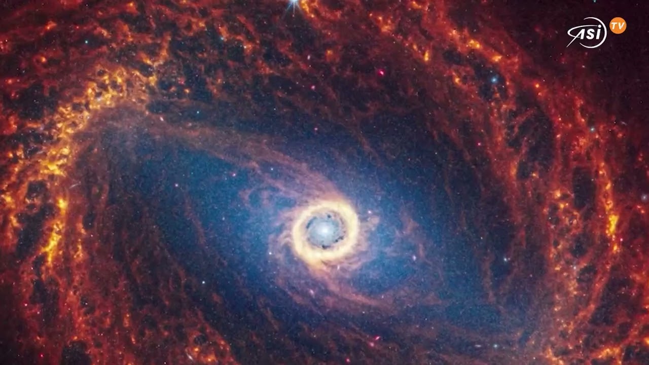 Cosa significa che il Webb ha trovato i “mattoni della vita” nell’universo