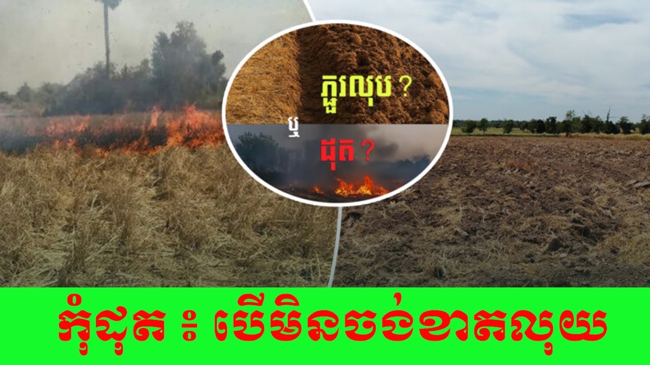 អត្ថប្រយោជន៍នៃការភ្ជួរលុបគល់ជញ្ច្រាំង
