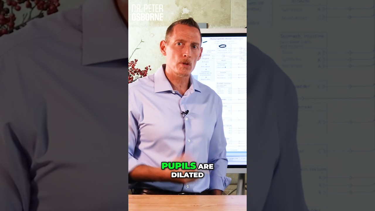 Витамин B1 &mdash; важнейший витамин, о котором вам НУЖНО знать! #витаминb1 #тиамин #дефициттиамина