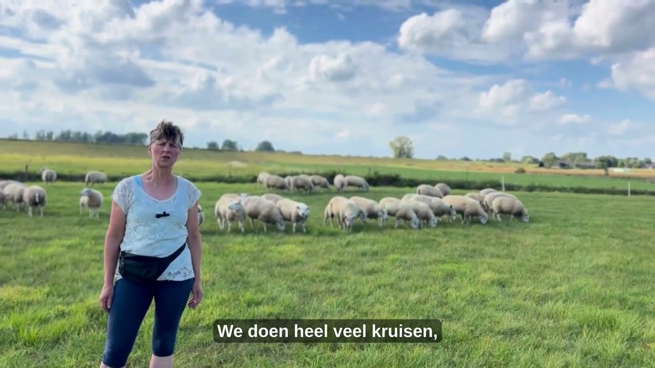 Hermien van Sonsbeek Nederlands