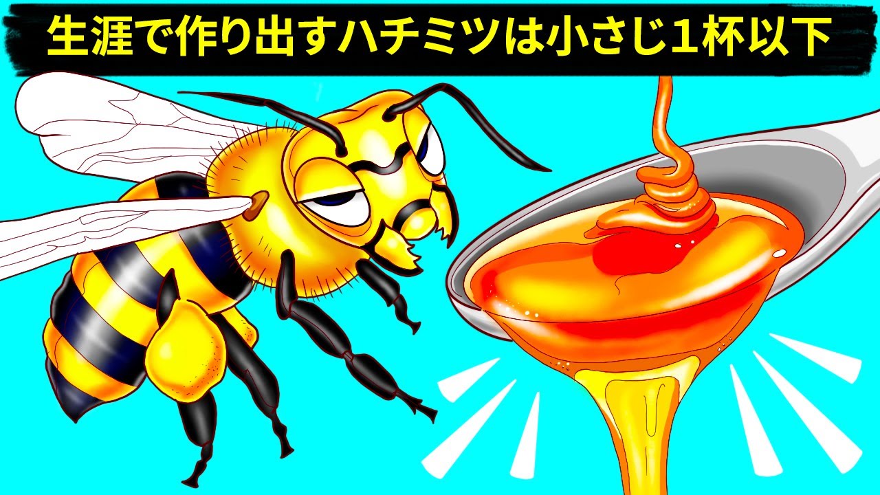 ミツバチがハチミツを作る理由と方法（＋その他のハチにまつわる豆知識）