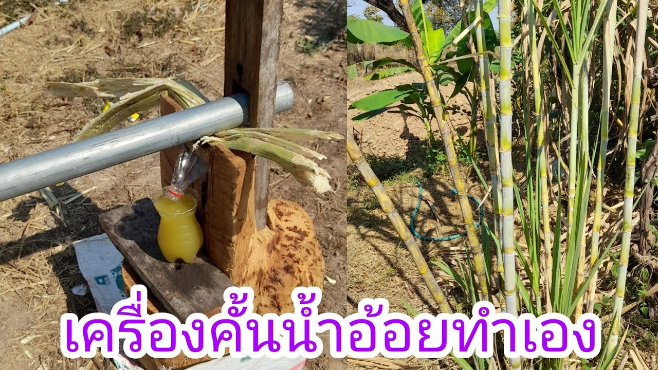 เครื่องคั้นน้ำอ้อยทำเอง ต้นทุนต่ำมาก