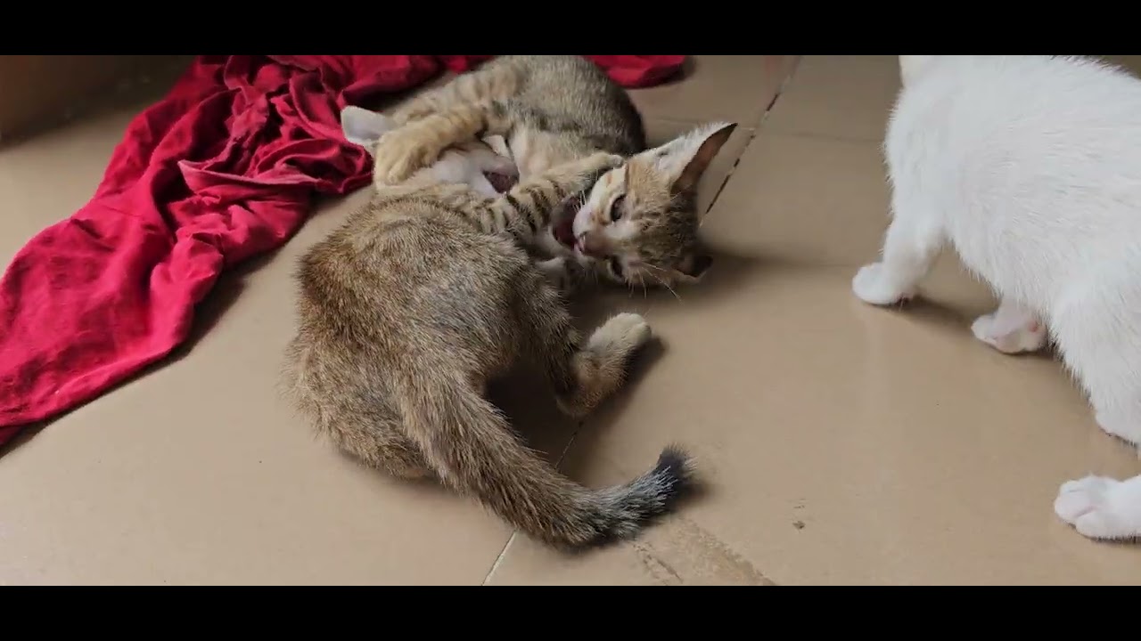 Sweet family.