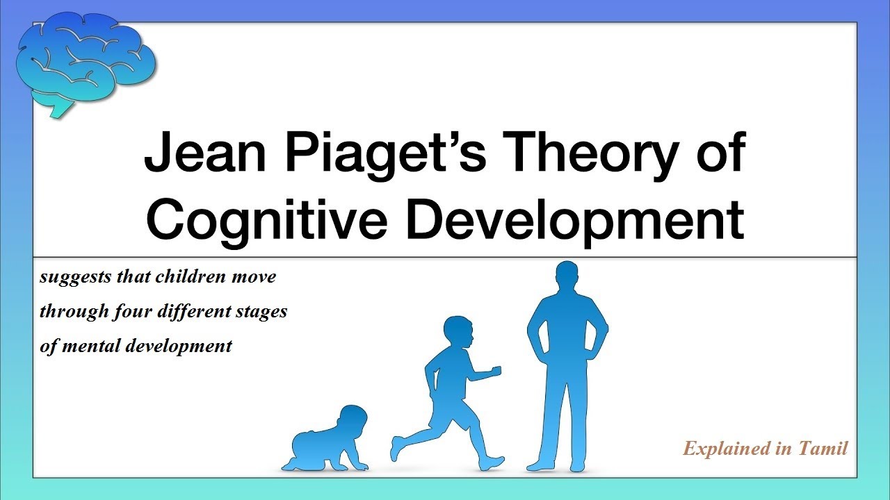 Piaget's Cognitive Development | Stages of Cognitive Development | for Ed & CTET/DSSSB/KVS/UP-TET...