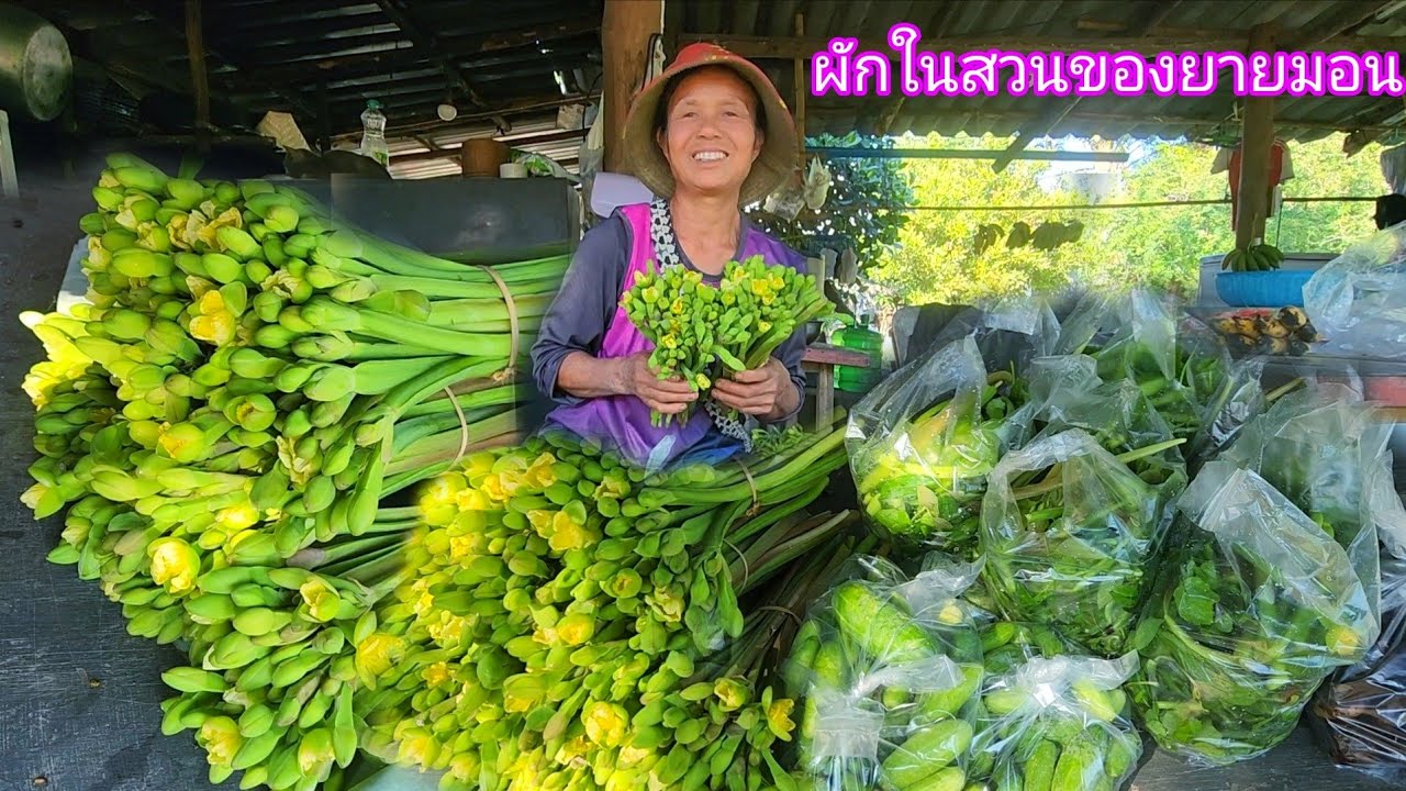 ผักในสวนของยายมอน