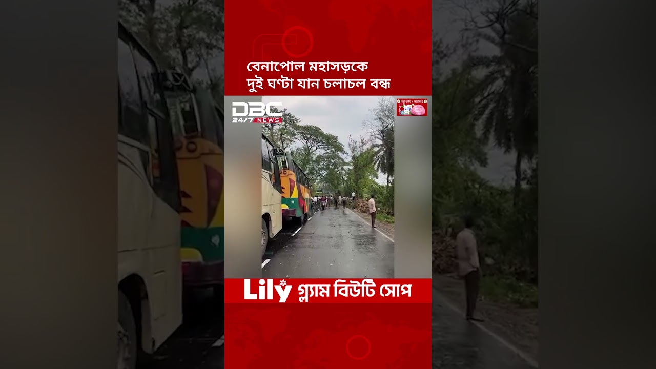 ঝড়ে গাছ উপড়ে যশোর-বেনাপোল মহাসড়কে দুই ঘণ্টা যান চলাচল বন্ধ | DBC NEWS