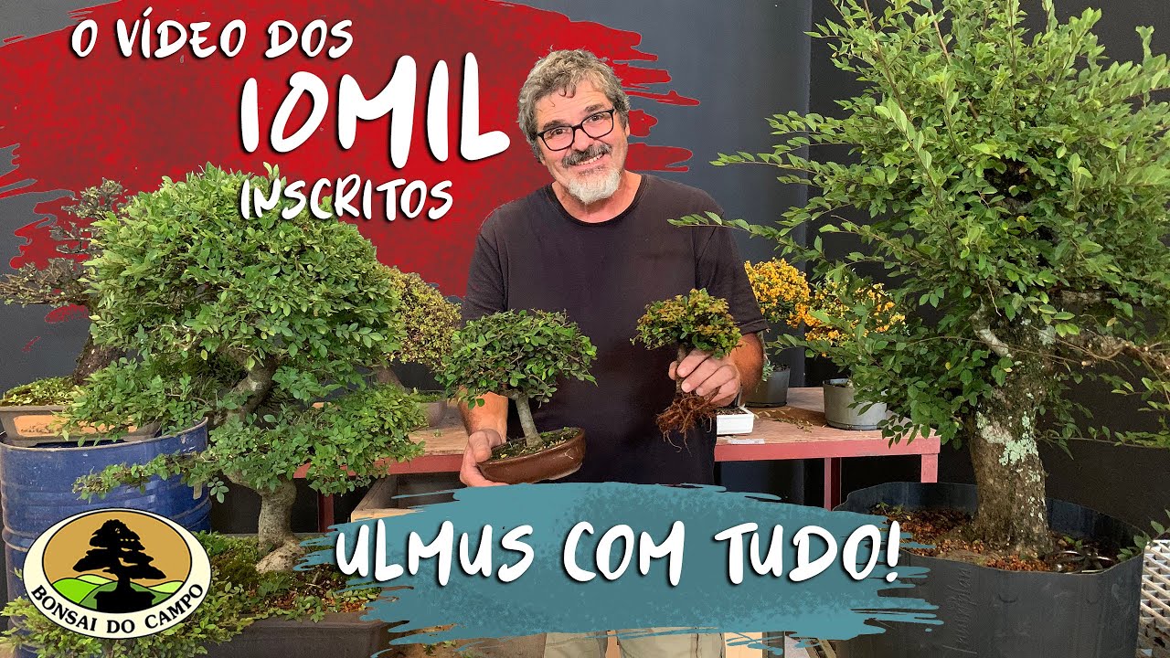 VÍDEO dos 10.000 inscritos. ULMUS com tudo!