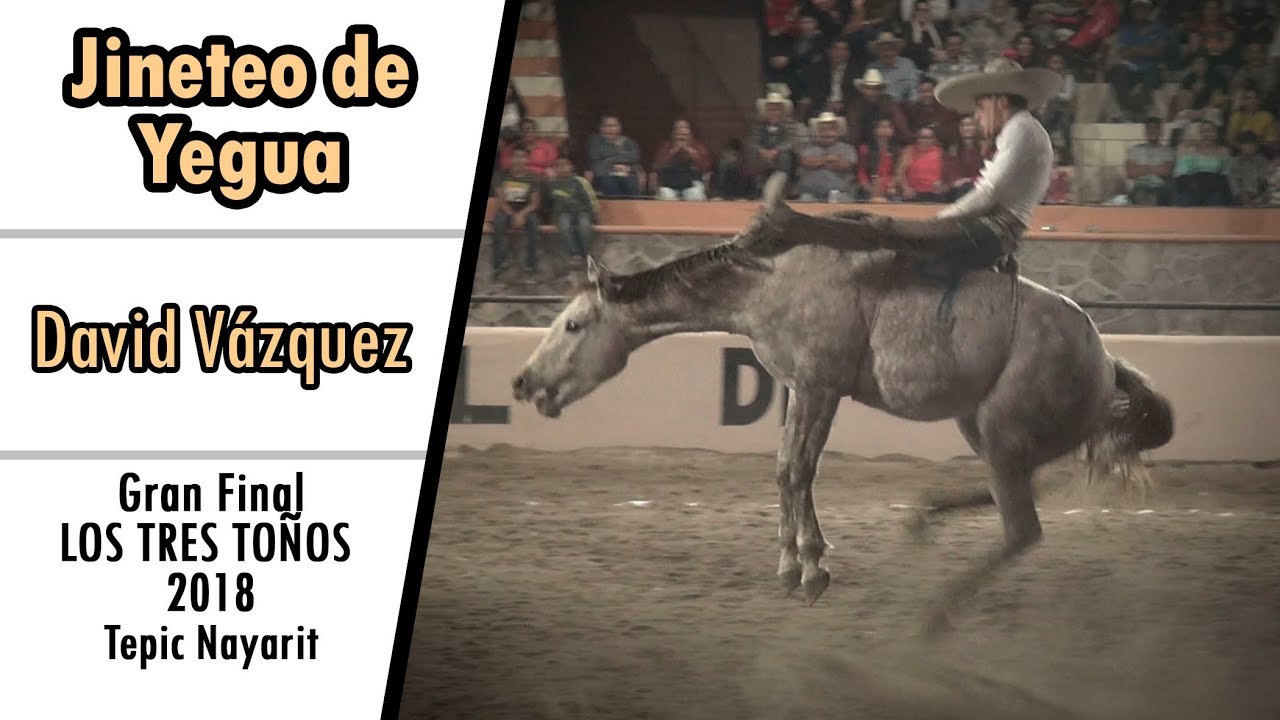 Excelente Jineteada de Yegua - David Vazquez FINAL LOS TRES TO&Ntilde;OS 2018