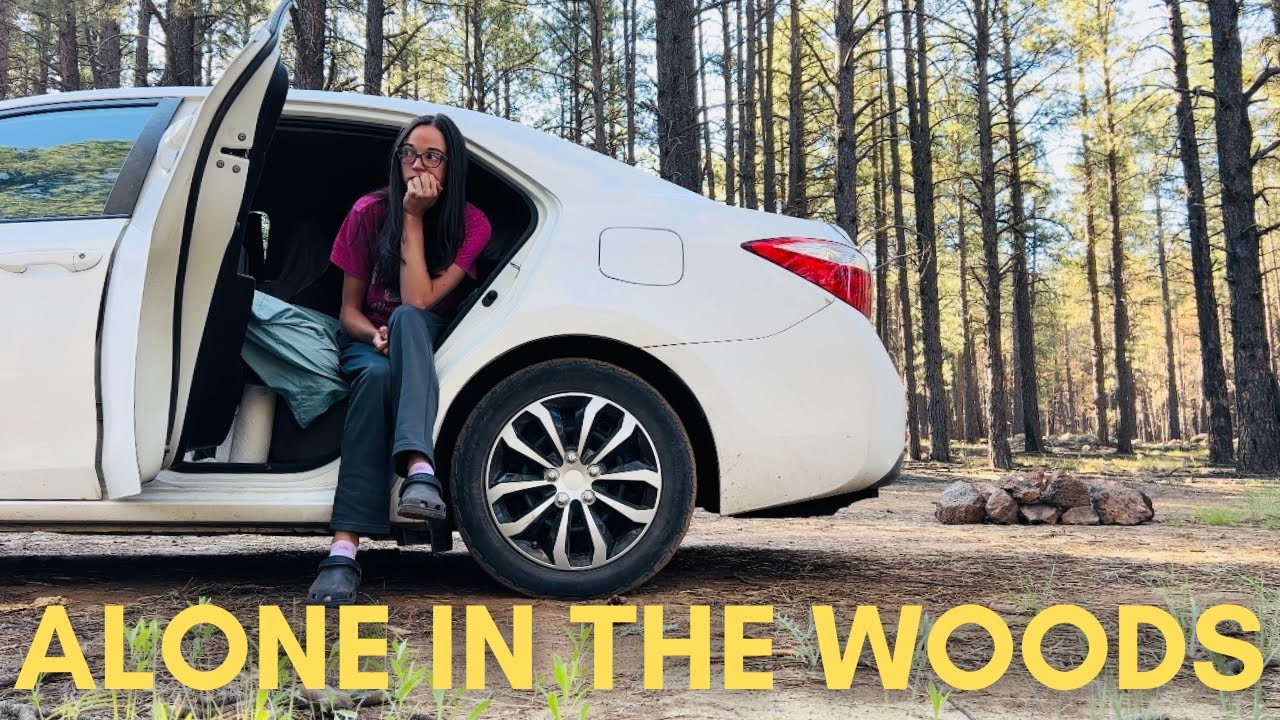A Quiet Day Living in my Corolla (Alone in the Woods)