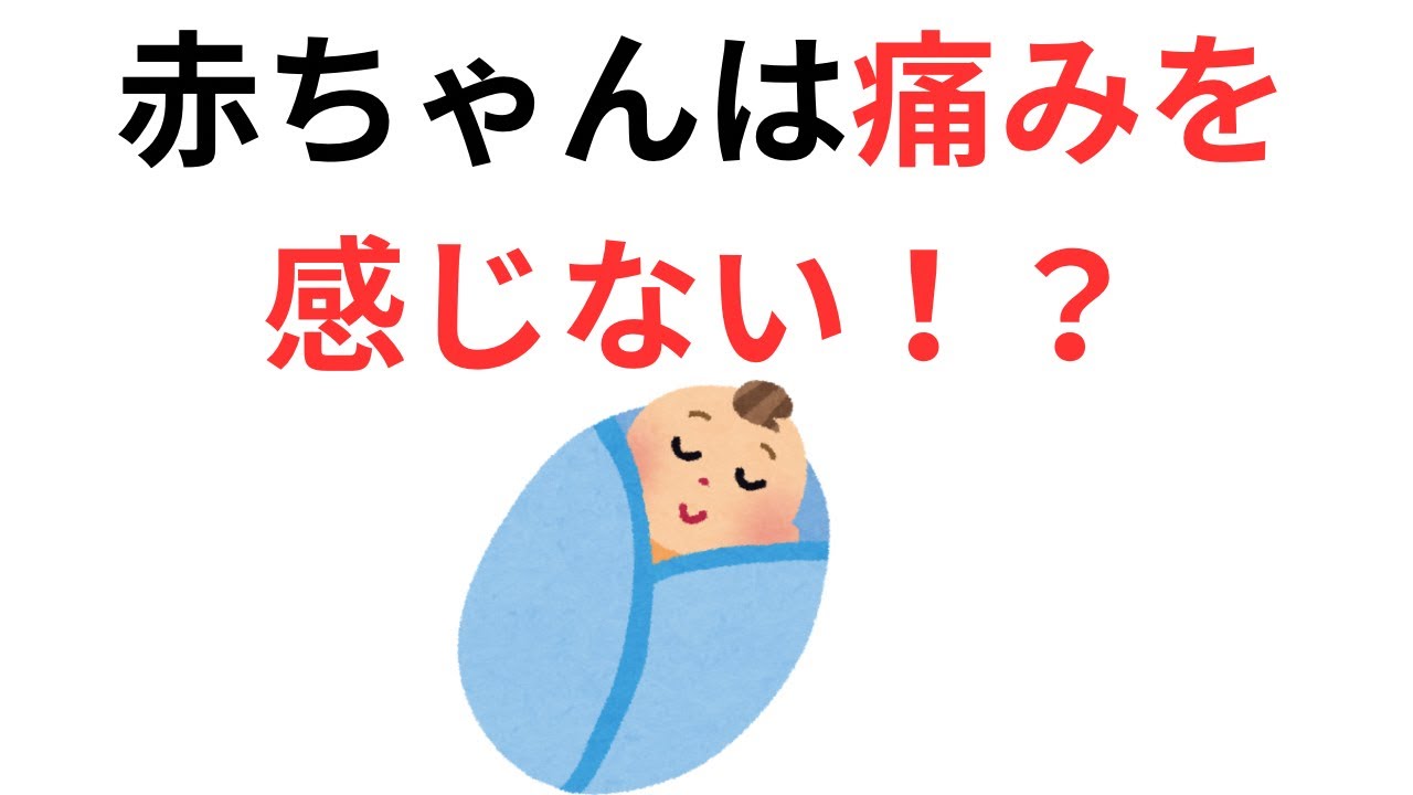 ちょっと怖い雑学‼️知らなきゃよかったかも？？#怖い話 #雑学 #豆知識 