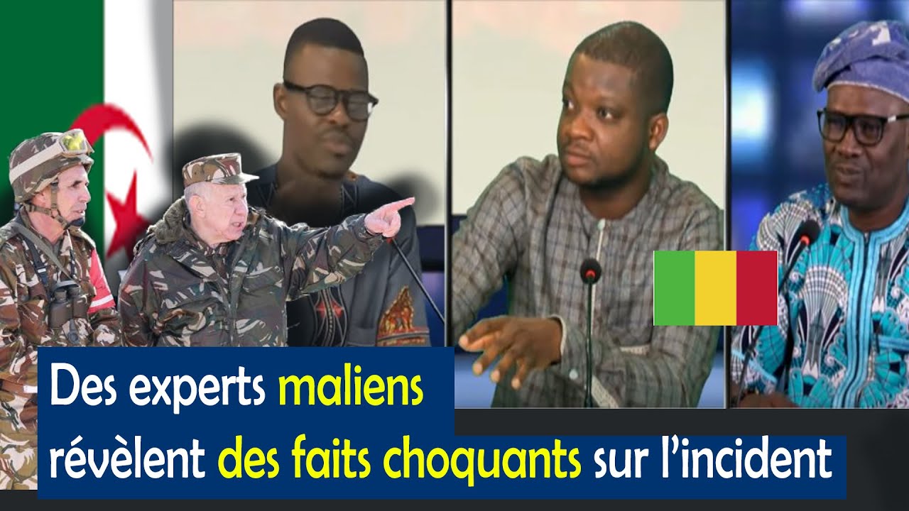 Le drone abattu par l'Algérie, Des experts maliens révèlent des faits choquants sur l’incident