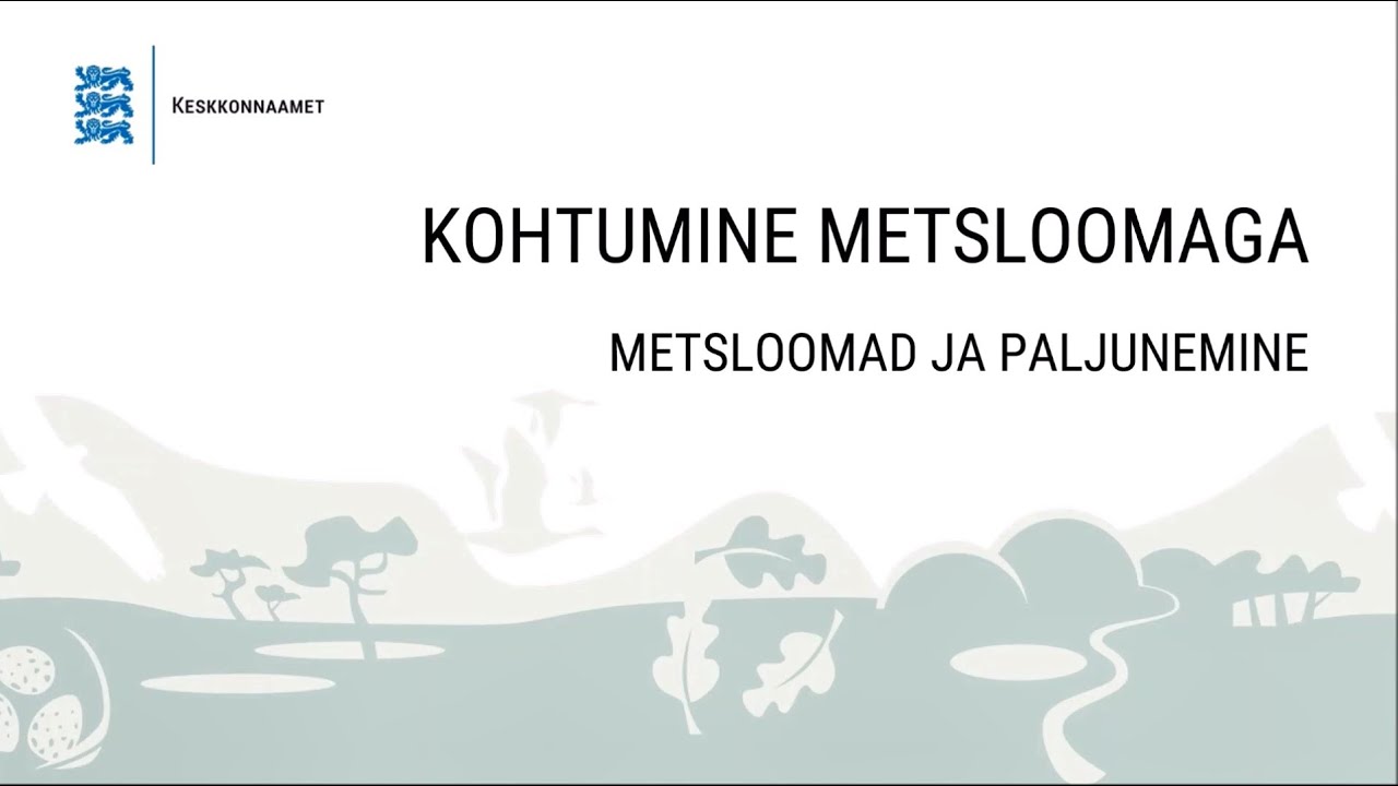 Metsloomad ja paljunemine | Kohtumine metsloomaga