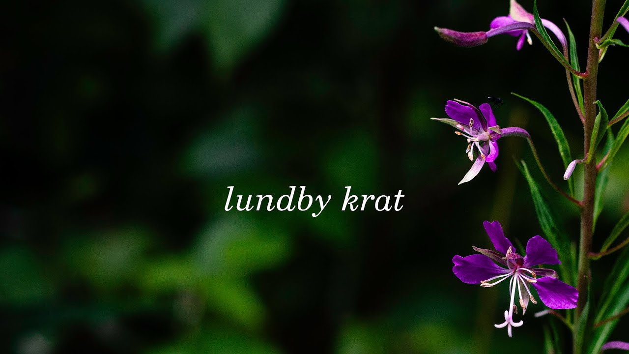 lundby krat (vandretur)