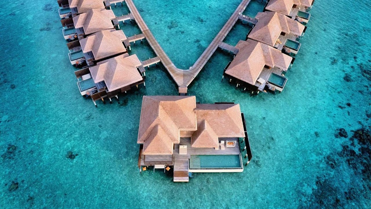 アヤダ モルディブ、ガーフ ダール環礁 |サンディヤと旅行する