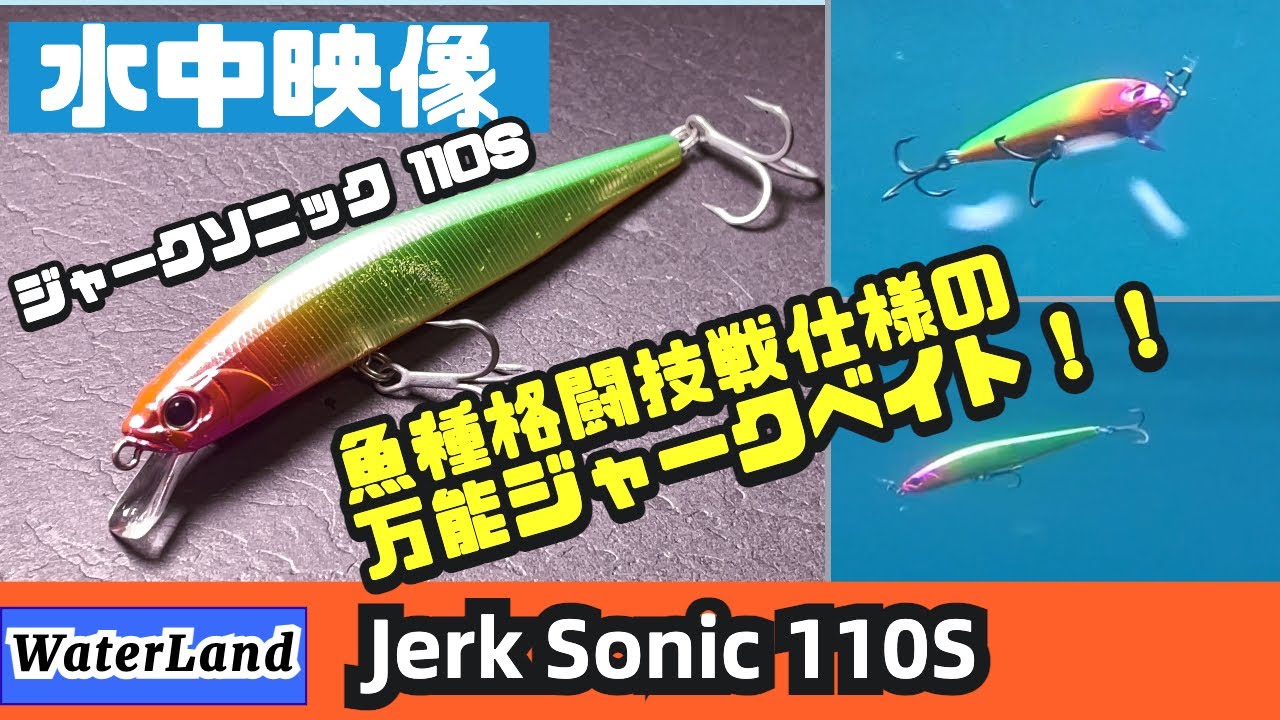 【水中映像】ジャークソニック110Sのジャーキングはめちゃくちゃ気持ちいい〜！【シーバス】【村田基】【ウォーターランド】