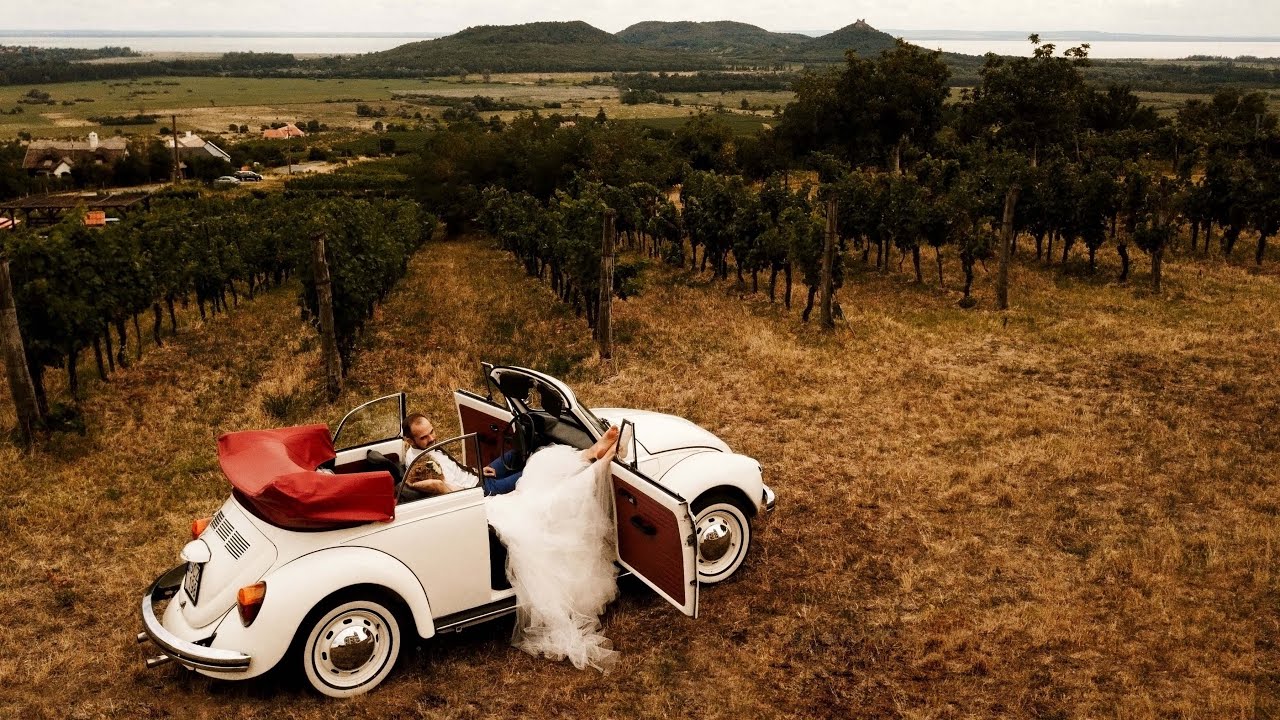 Bea / Árpi ● Wedding Moments ● Balaton, Káptalantóti, Istvándy Liget