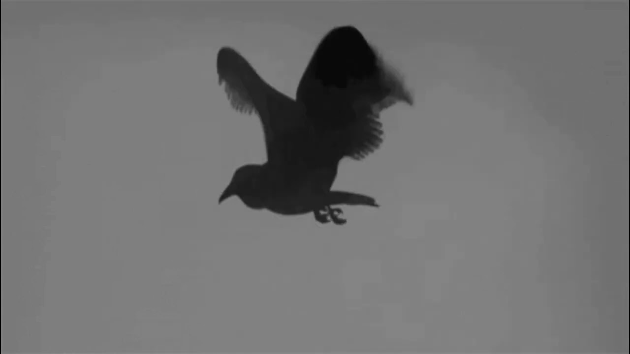 The Garden - The Crane Wives (Slowed + Reverb)
