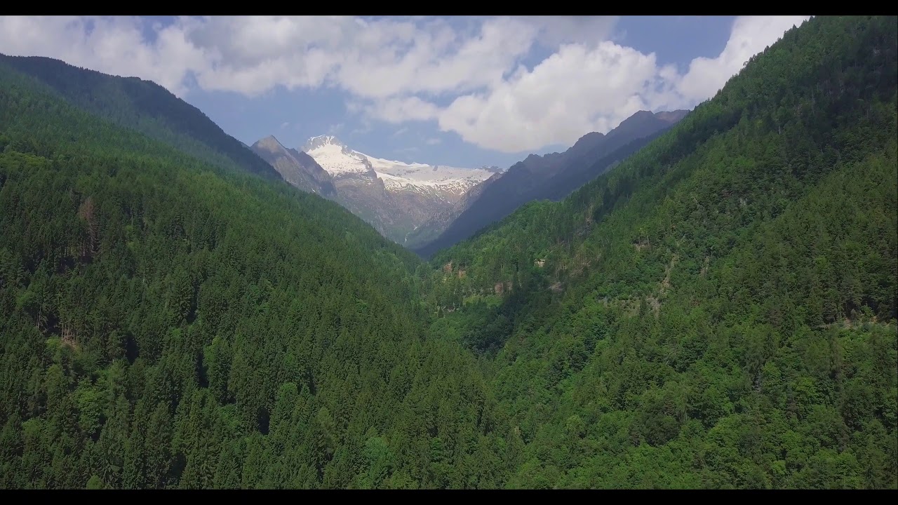 Pelugo - verso il Carè Alto