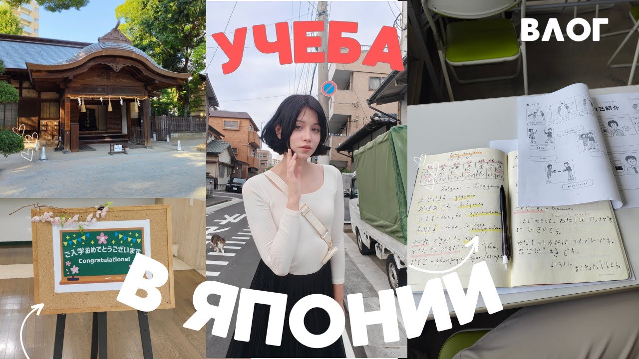 Поступила в ЯПОНСКУЮ ШКОЛУ: Распределительный тест, Макдональдс и мои впечатления