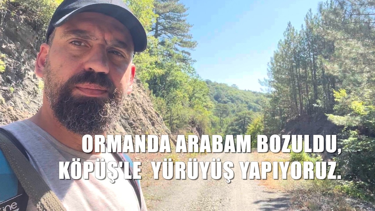 🦌 Ormanda araba bozuldu. Köpüşle yürüyüş yapıyoruz. 